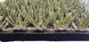InstaTurf Soft Armor Mat ShearForce 12 Sideview