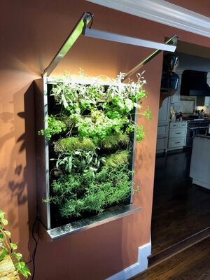indoor living wall planter kit GreenTexx Sock Rack Indoor Green Wall Kit
