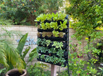 GreenTexx Sock Rack Outdoor Green Wall Kit